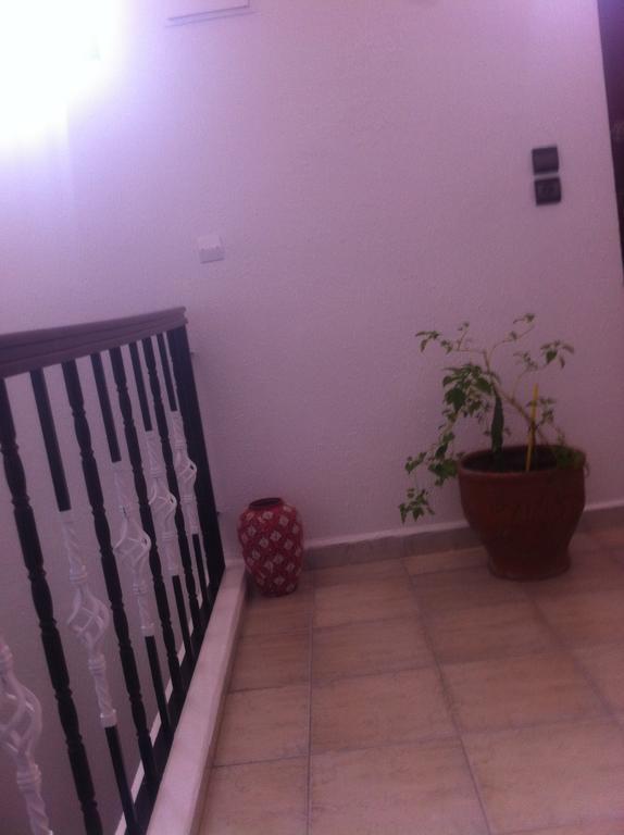 Chez Ali Apartments الصويرة المظهر الخارجي الصورة