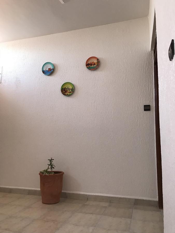 Chez Ali Apartments الصويرة المظهر الخارجي الصورة